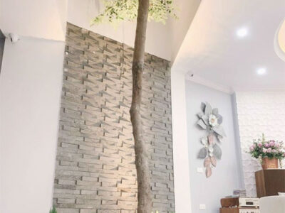 cách lựa chọn đá ong xám ốp giếng trời