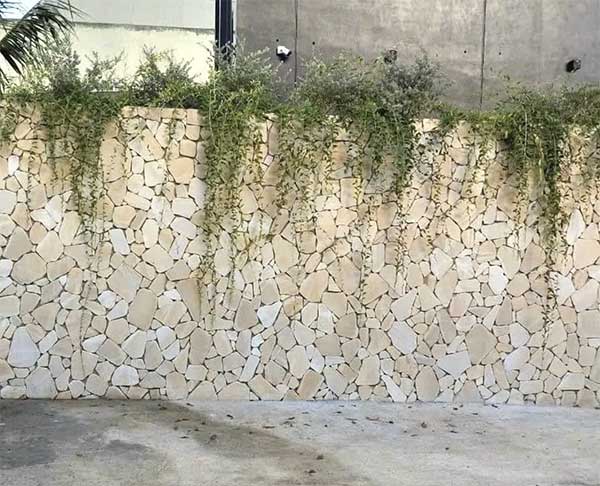 cách ốp đá rối tự nhiên